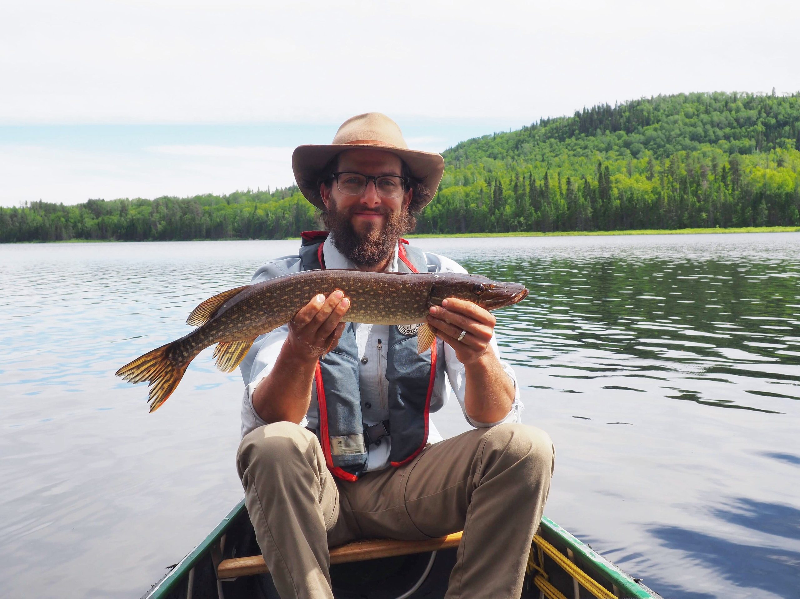 Photo de couverture - Grand brochet